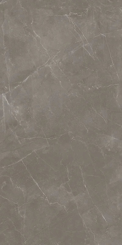 Elegance Taupe Matt - Gres Effetto Marmo Opaco 60x120