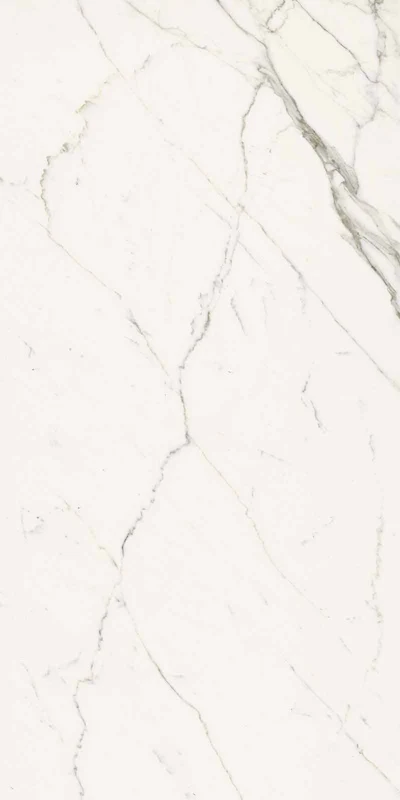 Elements Lux Calacatta Statuarietto - Gres effetto marmo opaco 60x120 rettificato - Image 2