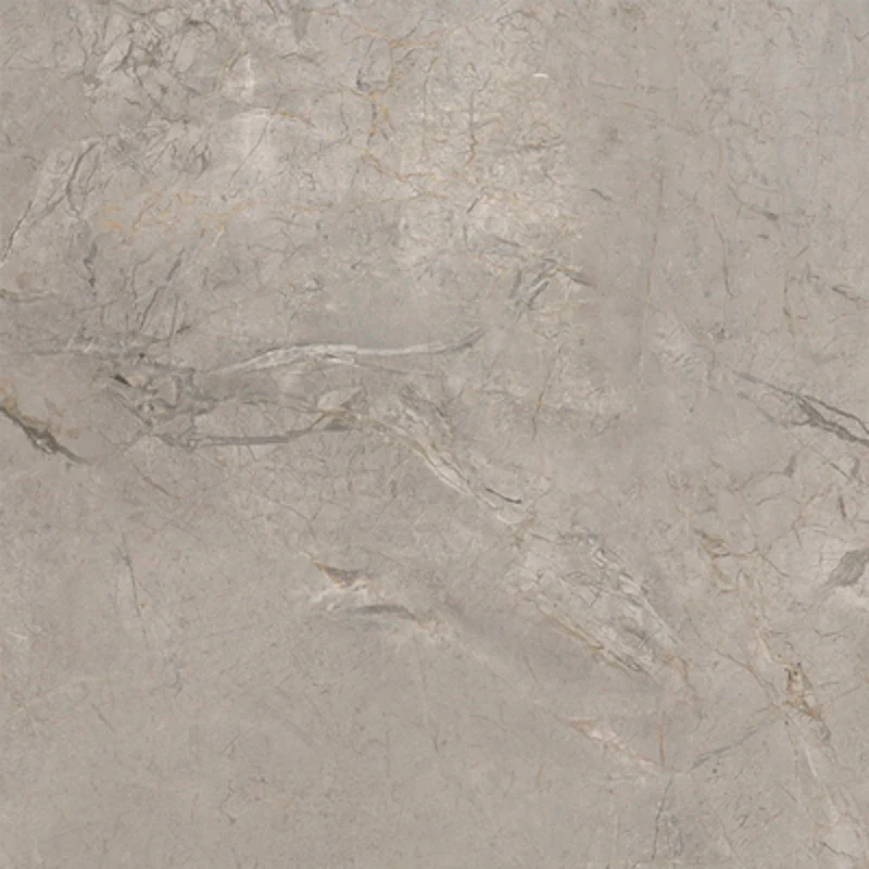 Elements Lux Silver Grey - Gres effetto marmo levigato 120x120 rettificato