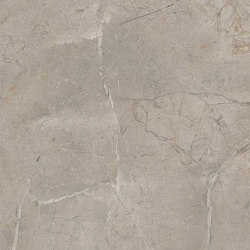 Elements Lux Silver Grey - Gres effetto marmo levigato 60x60 rettificato - Image 4