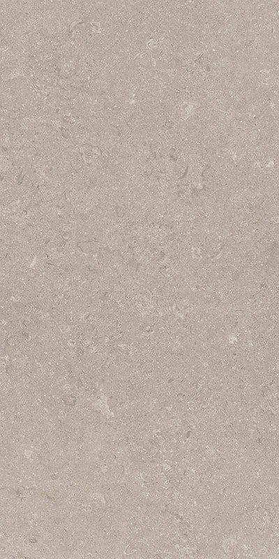 Heritage Grey - Gres porcellanato effetto pietra 60x120 rettificato