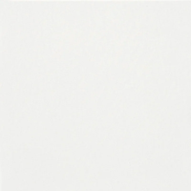 Landscape Tundra Satin - Gres Effetto Tinta Unita Vellutato 25x25