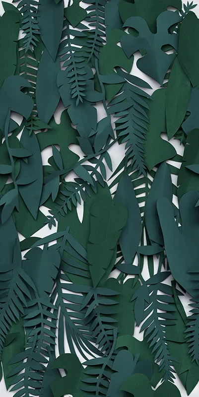 Paper41 Pro Midori - Gres Effetto Carta Da Parati Opaco 50x100 - Image 3