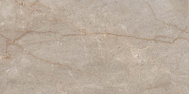Percorsi Frame Imperiale Walnut R10 - Gres Porcellanato effetto pietra 30x60 Rettificato - Image 3