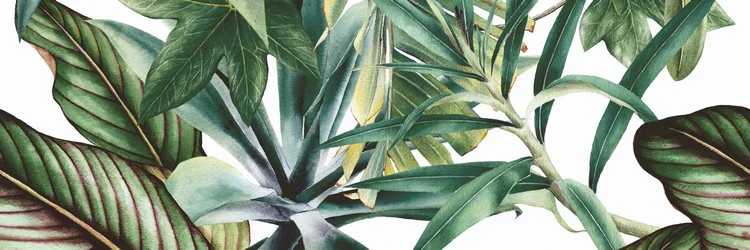 Botanical Green Savage - Rivestimento a Composizione Effetto Carta da Parati - Image 6