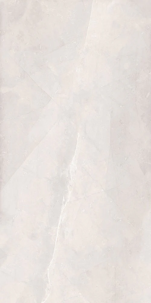 Marmi Pregiati Pulpis Gris - Gres Porcellanato Effetto Marmo Lucido 60x120 Levigato - Image 4