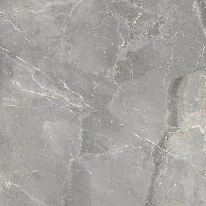 Marmi Pregiati Soveraia Silver - Gres Porcellanato Effetto Marmo Lucido 60x60 Levigato - Image 4