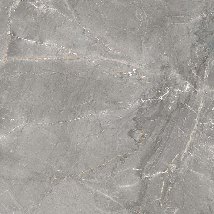 Marmi Pregiati Soveraia Silver - Gres Porcellanato Effetto Marmo Lucido 60x60 Levigato - Image 5