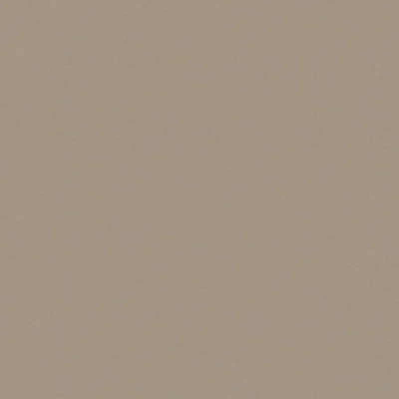 Unicolore Grigio Perla - Gres Effetto Tinta Unita Opaco 20x20