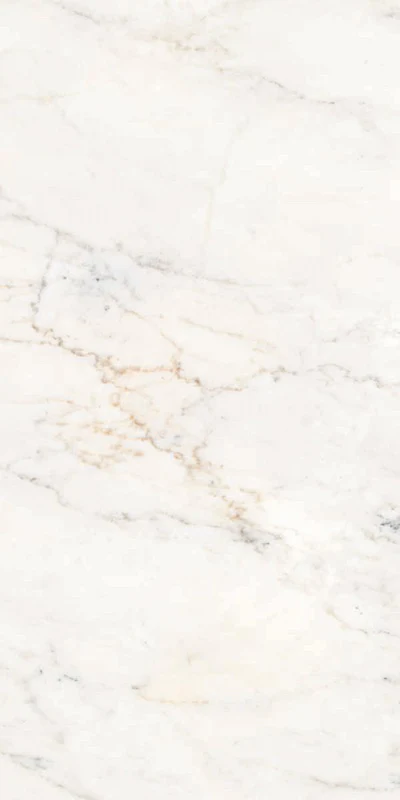 Versilia Michelangelo White - Gres Effetto Marmo Vellutato 60x120 Rettificato
